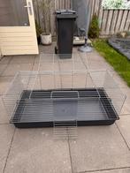 Konijnen hok gratis af te halen, Gebruikt, Konijn, Hok, 75 tot 110 cm
