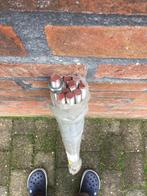 Draadijzer, Ophalen of Verzenden, 250 mm of meer