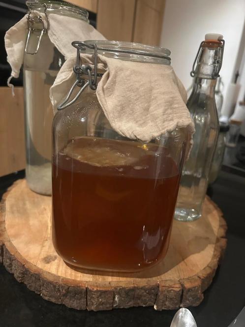 Kombucha zwam + vloeistof (= scoby), Diversen, Levensmiddelen, Ophalen of Verzenden