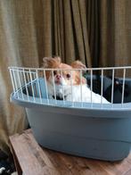 ZGAN Ferplast Fietsmand voor kleine hond, Dieren en Toebehoren, Ophalen of Verzenden, Zo goed als nieuw