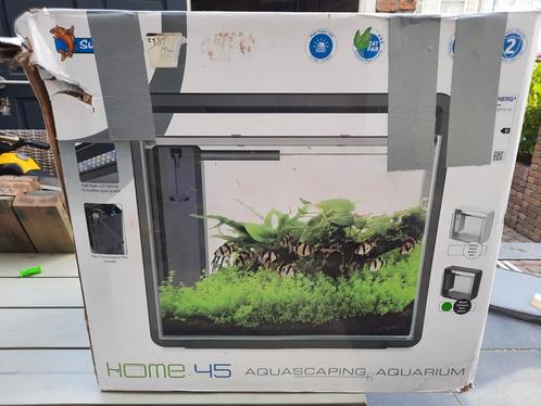 Superfish Home 45 Aquarium met veel toebehoren, Dieren en Toebehoren, Vissen | Aquaria en Toebehoren, Gebruikt, Leeg aquarium