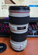 Canon EF 70-200mm f/4 L USM non-IS uitstekende Staat!, Audio, Tv en Foto, Fotografie | Lenzen en Objectieven, Ophalen of Verzenden
