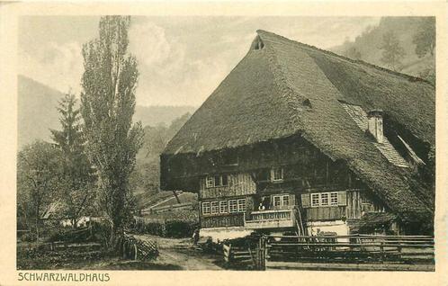 (376-114-009) Schwarzwald Schwarzwaldhaus, Verzamelen, Ansichtkaarten | Buitenland, Duitsland, Verzenden