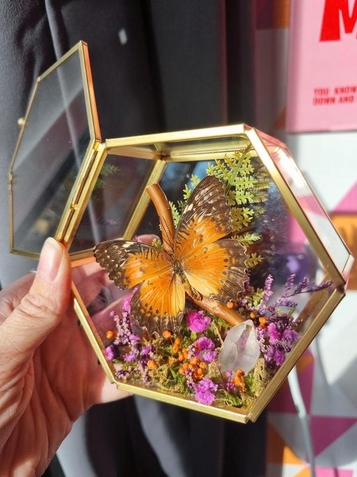 Vlinder in Glazen Kistje met Droogbloemen & Bergkristal, Huis en Inrichting, Woonaccessoires | Overige, Nieuw, Ophalen of Verzenden