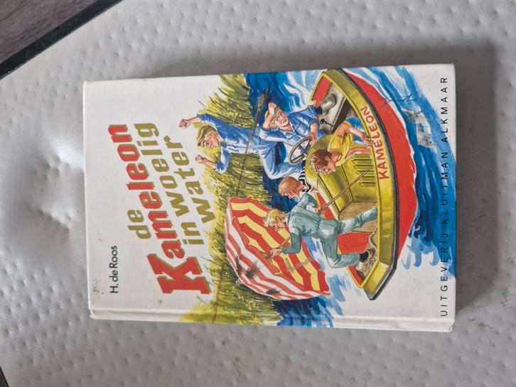 De Kameleon in woelig water, Boeken, Kinderboeken | Jeugd | 10 tot 12 jaar, Gelezen, Verzenden