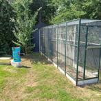 Vogel volière, Ophalen, Gebruikt, Aluminium, Volière