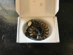 Yamaha ontsteking/stator/alternator XT660, Raptor, Tenere, Ophalen of Verzenden, Gebruikt