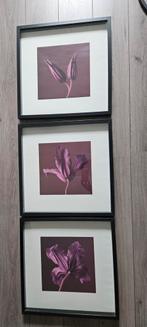 Ikea fotolijsten met bloemen, Audio, Tv en Foto, Fotografie | Fotolijsten, Ophalen, Gebruikt