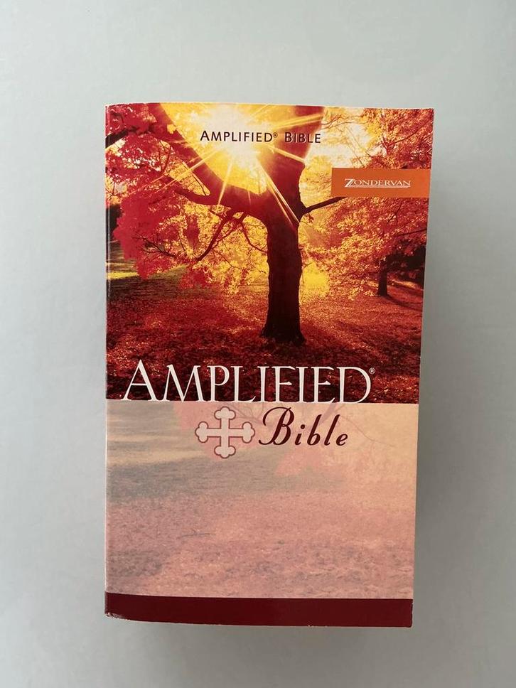Amplified Bible, Boeken, Taal | Engels, Zo goed als nieuw, Ophalen of Verzenden