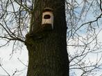 Vogel nestkasten, Dieren en Toebehoren, Nieuw, Overige typen, Ophalen of Verzenden