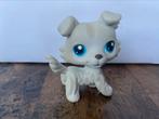 Leuke collie met een grijze kleur van Littlest Petshop Lps., Ophalen of Verzenden, Zo goed als nieuw, Jongen of Meisje