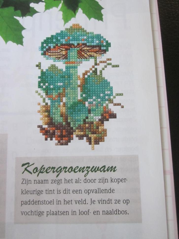 Borduur telpatronen: paddenstoelen uiltje lieveheersbeestje, Hobby en Vrije tijd, Borduren en Borduurmachines, Nieuw, Patroon