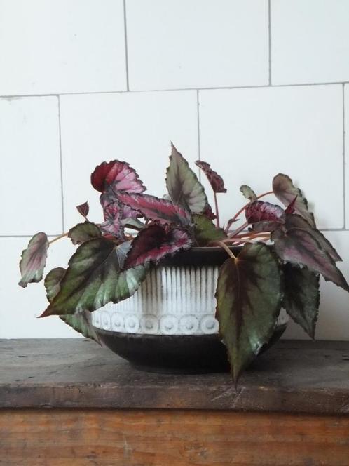 grote groovy vintage plantenschaal bloempot W. Germany 20 cm, Huis en Inrichting, Woonaccessoires | Overige, Ophalen