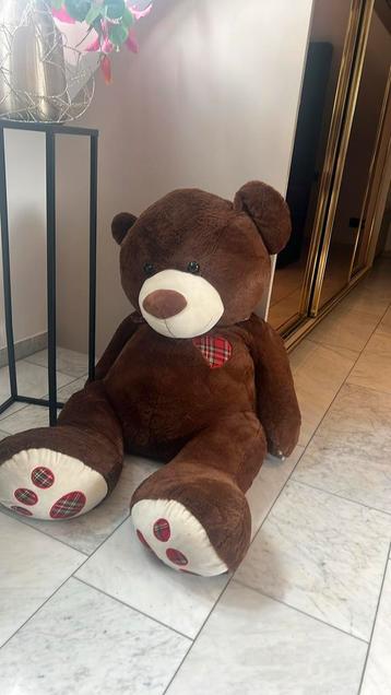 Grotte XXL beer beschikbaar voor biedingen