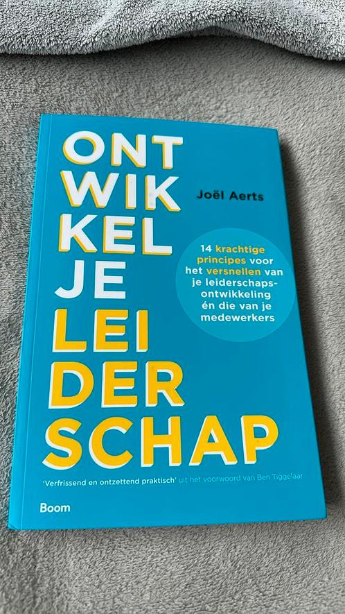 Joël Aerts - Ontwikkel je leiderschap, Boeken, Wetenschap, Zo goed als nieuw, Sociale wetenschap, Ophalen of Verzenden