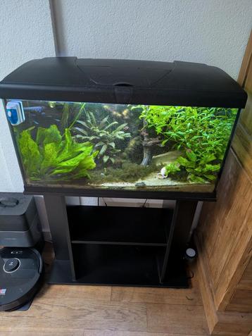 Aquarium met onderkast beschikbaar voor biedingen