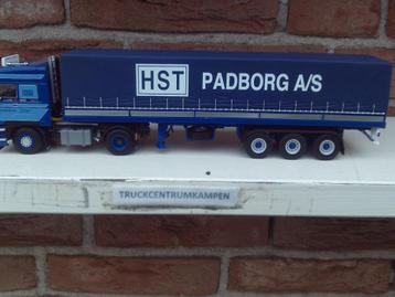 WSI  Daf  3600  Space  Cab  van  H.S.T.  Padborg. beschikbaar voor biedingen
