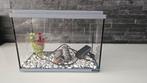 Aquarium set te koop – compleet en in goede staat!, Ophalen of Verzenden, Zo goed als nieuw, Leeg aquarium