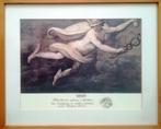 Ibis libreria esoterica e filosofica | EUR 39,95 per stuk, Antiek en Kunst, Ophalen of Verzenden