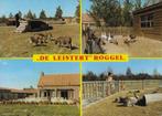 Roggel camping de leistert gelopen ansichtkaart ( a599 ), Ophalen of Verzenden, 1960 tot 1980, Gelopen