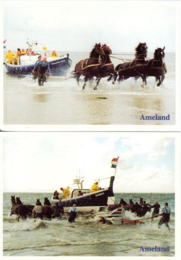 5 ansichtkaarten Ameland - Paarden reddingsboot. Ongelopen beschikbaar voor biedingen