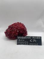 Vandadiniet Marokko, Ophalen of Verzenden