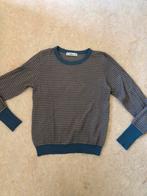 Leuke trui van Zara met retro vintage look, Kleding | Dames, Truien en Vesten, Nieuw, Zara, Blauw, Maat 38/40 (M)