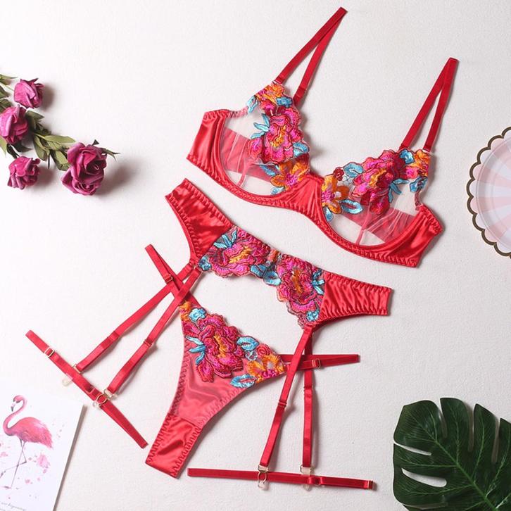 Rood doorzichtig lingerie setje string bh jarretels dames, Kleding | Dames, Ondergoed en Lingerie, Setje, Rood, Verzenden