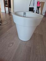 Witte Bloempot - Stijlvol & Modern, Kunststof, 40 cm of meer, Rond, Nieuw