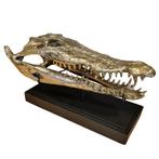 krokodil schedel 36 cm op standaard gemaakt van messing goud, Ophalen of Verzenden, Nieuw, Beeldje of Figuurtje