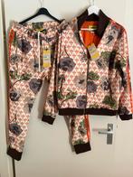 Gucci Adidas trainingspak, Kleding | Heren, Maat 52/54 (L), Overige kleuren, Nieuw, Ophalen of Verzenden