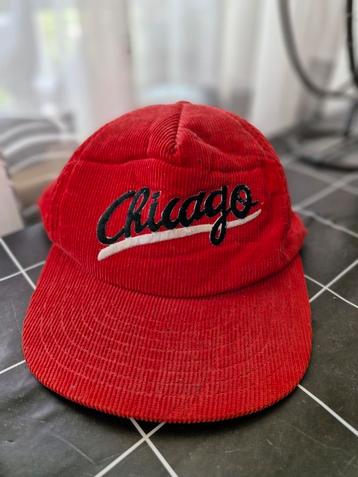 Pet Chicago beschikbaar voor biedingen