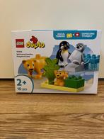 Duplo pinguïns en leeuwen, Ophalen of Verzenden, Nieuw, Complete set, Duplo