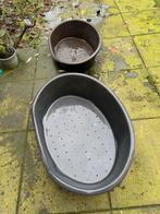 Honden manden plastic, nog prima en gratis af te halen, Ophalen, Gebruikt, Overige