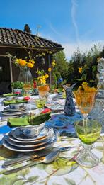 Blue Danube Zwiebelmuster Servies - Compleet!, Ophalen of Verzenden