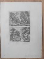 307-308 Ballum Ameland lang de Buuren te zien Unieke uitgave, Ophalen of Verzenden