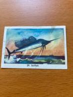 Kaartje 29 Sailfish van het album Zo moet je Vissen. Rizla, Ophalen of Verzenden, Zo goed als nieuw, Prentenboek