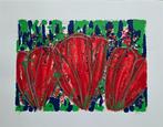 3 grote zeefdruk 70x90 cm. van Ad van Hassel, Ophalen of Verzenden