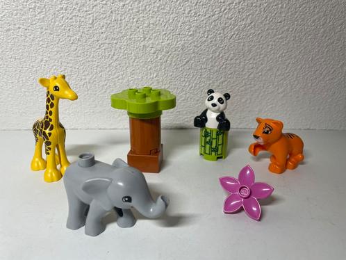 Duplo Babydieren, Kinderen en Baby's, Speelgoed | Duplo en Lego, Zo goed als nieuw, Duplo, Complete set, Ophalen of Verzenden