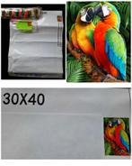 Diamond Painting Papegaaien, Ophalen of Verzenden, Nieuw, Knutselwerk