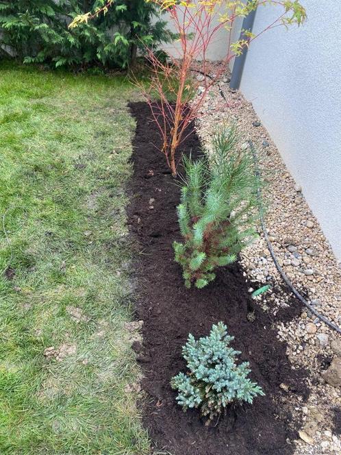 Klusjesman, Diensten en Vakmensen, Tuinmannen en Stratenmakers, Tuin- of Vijveraanleg, Tuinonderhoud of Snoeiwerk