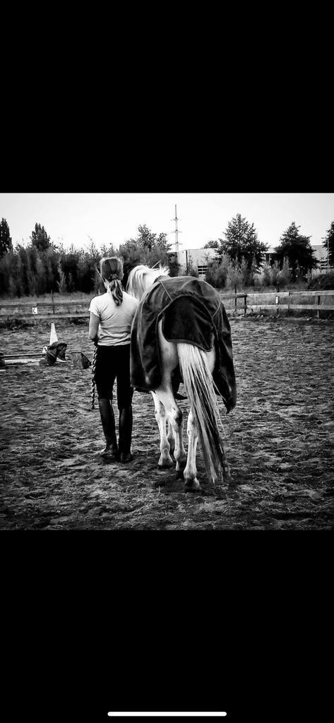 Verzorgpaard/pony gezocht, Dieren en Toebehoren, Paarden en Pony's | Verzorgingsproducten, Nieuw, Ophalen of Verzenden
