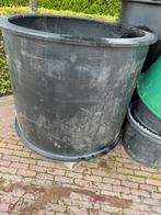 Vijverbak dompelbak zwemvijver quarantaine, Ophalen of Verzenden