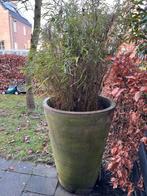 2 Grote Stenen Bloempotten met Bamboe, Tuin en Terras, Gebruikt, Balkon, 40 cm of meer, Rond