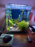 Dennerle 30 liter aquarium NanoCube, Dieren en Toebehoren, Ophalen, Zo goed als nieuw, Leeg aquarium
