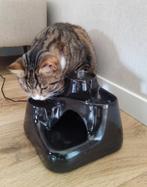 Katten fontein black Miaustore, Keramiek, Dieren en Toebehoren, Ophalen of Verzenden, Zo goed als nieuw