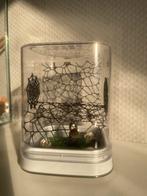 Springspin terrarium 12x12x15cm spooky, Dieren en Toebehoren