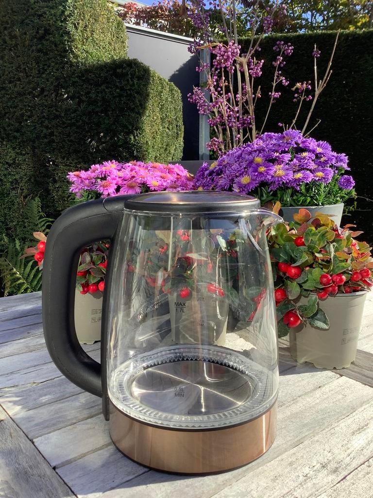 Berlinger Haus waterkoker - BH-9018 - een reservekan, 1 tot 2 liter, Ophalen, Zo goed als nieuw