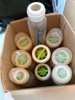 Dr brown set flessen, Kinderen en Baby's, Ophalen of Verzenden, Overige typen