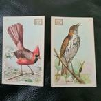 Cigarette card CHURCH & DWIGHT first series, Ophalen of Verzenden